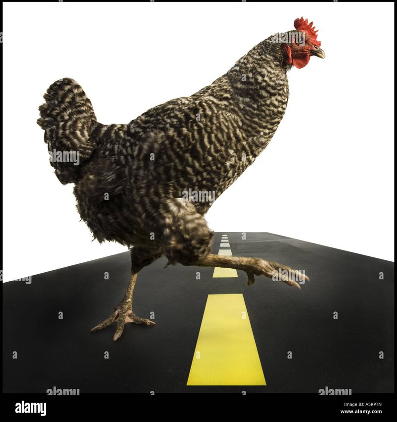 Chicken road - Descubre el Misterio de la Carretera del Pollo en Internet y Casinos de España